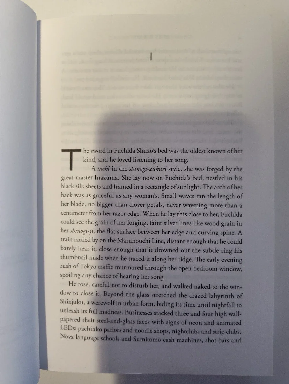 Daughter of the Sword by Steve Bein (Paperback)